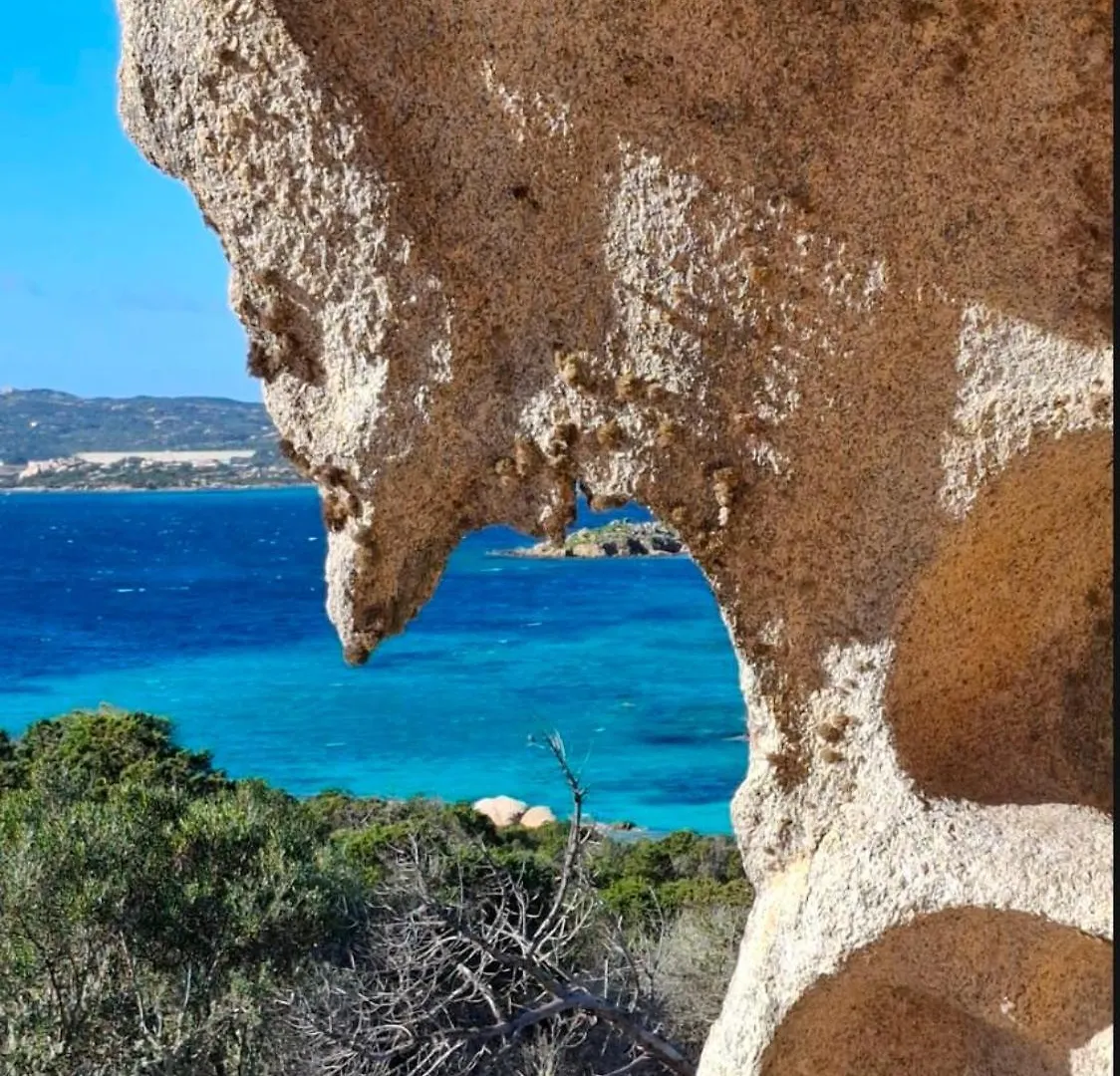Apartament La Maddalena Ss Due Mari Włochy
